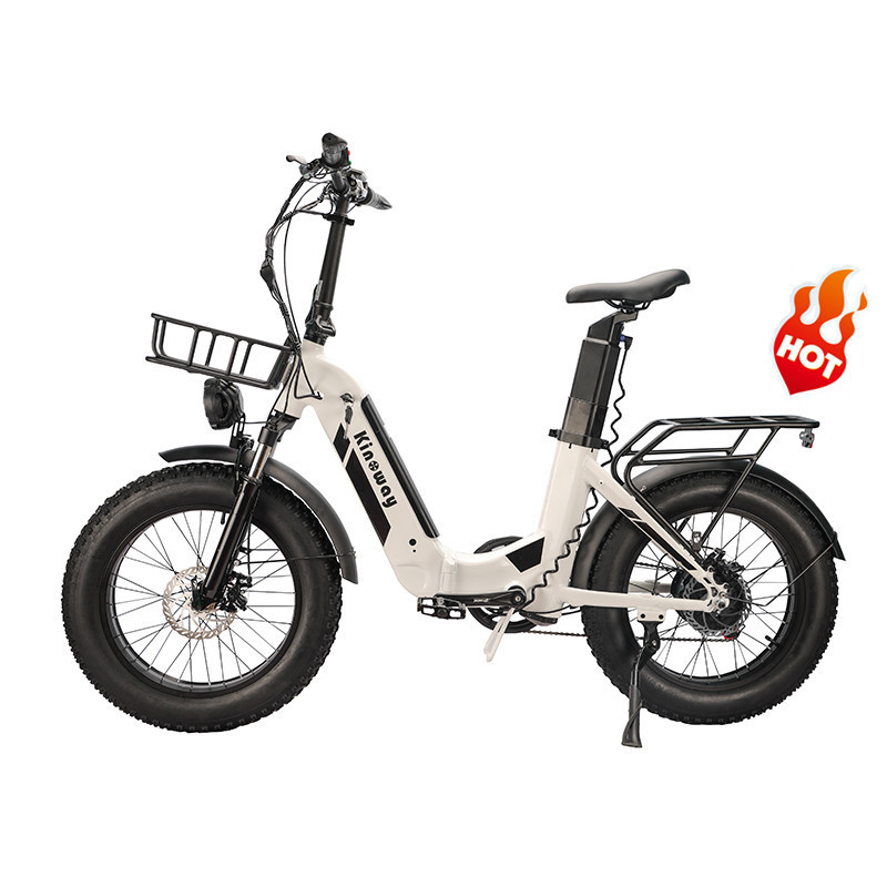 OEM free sample enduro ebike hybrid cargo bicycle 750W 48V 26AH 100km 20inch fat tire electric bike with dual battery