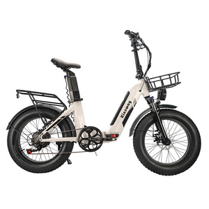 Factory enduro hybrid ebike 750W 48V 26AH 20inch dual battery folding fat tire electric cargo bike for adults