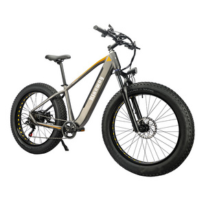 Amazon Hot Selling 750w 1000w Motor MTB e Bike Fat Tire  26 Inch Mountain Bike Fatbike Electric Bicycle Bike