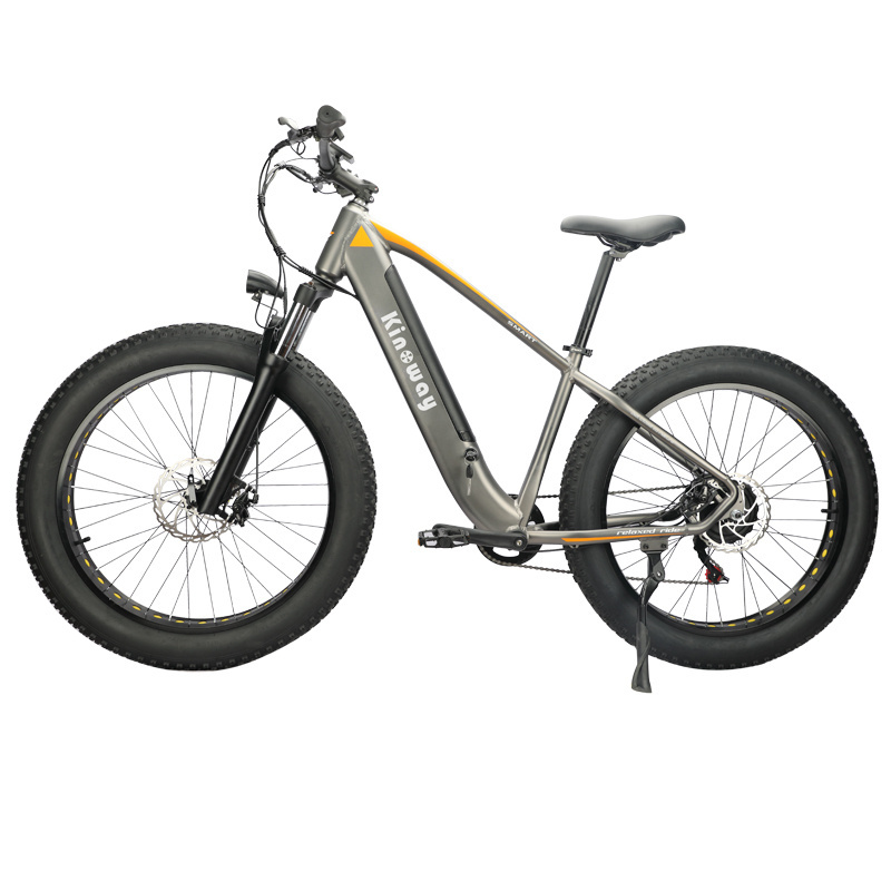 Amazon Hot Selling 750w 1000w Motor MTB e Bike Fat Tire  26 Inch Mountain Bike Fatbike Electric Bicycle Bike