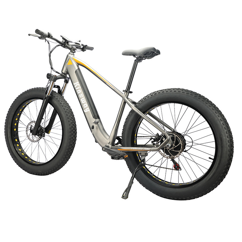 Amazon Hot Selling 750w 1000w Motor MTB e Bike Fat Tire  26 Inch Mountain Bike Fatbike Electric Bicycle Bike