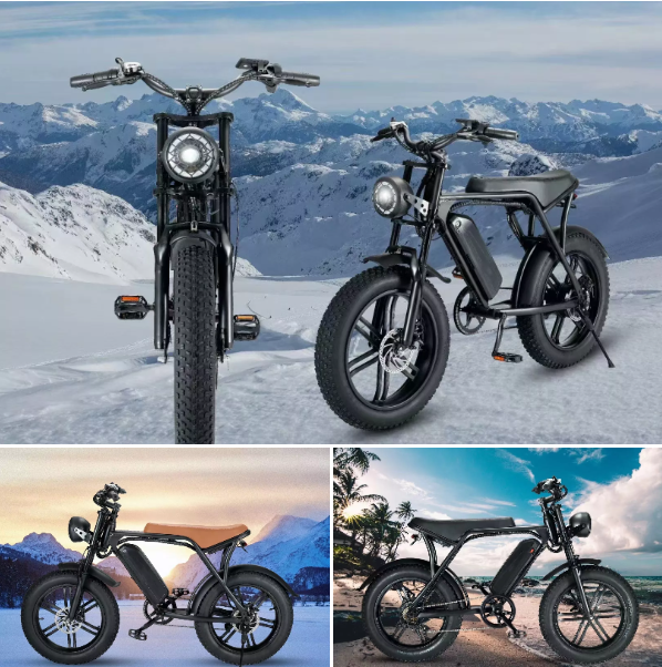 US EU Stock Dutch enduro ebike urban chopper bicycle 750W 1000W 15Ah 30Ah 20*4.0