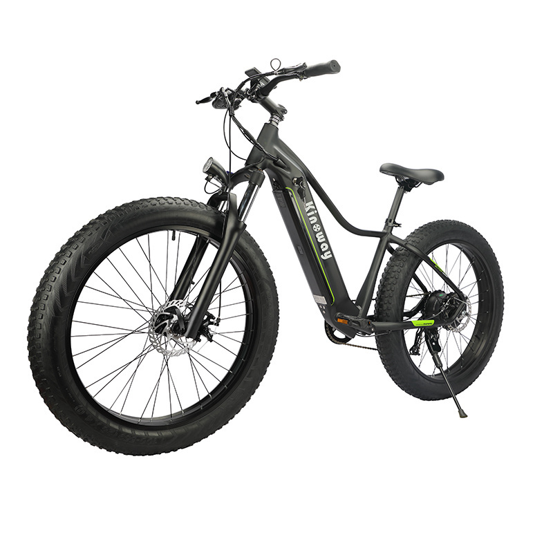 26inch aluminum alloy frame electric bike fat tires e bike 26x4.0 conversation kit 3000w bicycle mtb cycle for adult