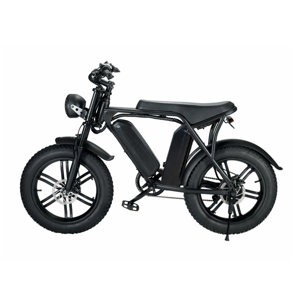 US EU Stock Dutch enduro ebike urban chopper bicycle 750W 1000W 15Ah 30Ah 20*4.0