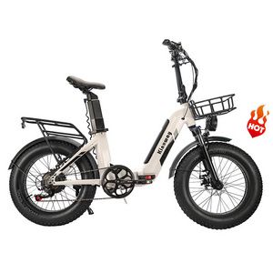 OEM free sample enduro ebike hybrid cargo bicycle 750W 48V 26AH 100km 20inch fat tire electric bike with dual battery