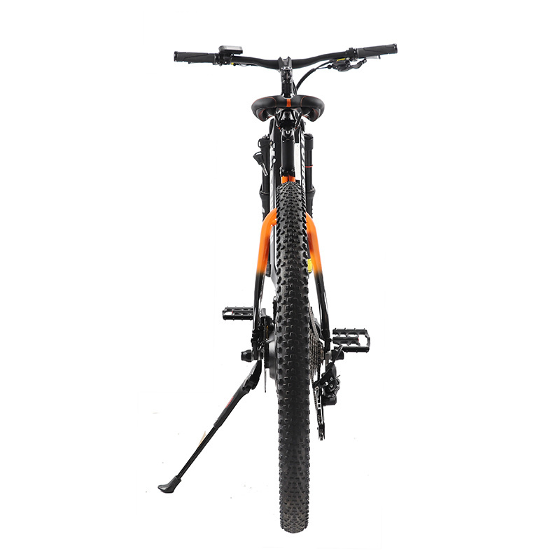 48V 750W Power Full Suspension Retro Vintage E Bike Ebike Dirt Mountain Fat Tire Bicycle Electric Trek E Mountain Bike 29