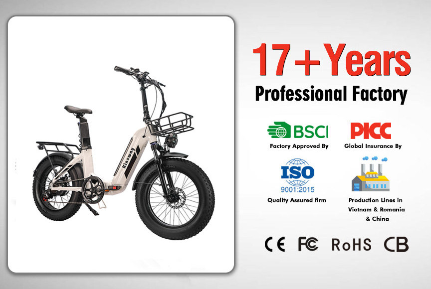 OEM free sample enduro ebike hybrid cargo bicycle 750W 48V 26AH 100km 20inch fat tire electric bike with dual battery