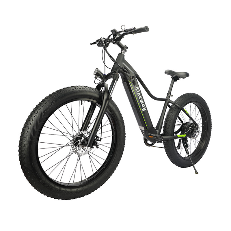 26inch aluminum alloy frame electric bike fat tires e bike 26x4.0 conversation kit 3000w bicycle mtb cycle for adult