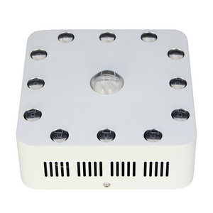 236W COB Skin treatment led light therapy machine 630nm 670nm 760nm 830nm red light therapy for pain relief