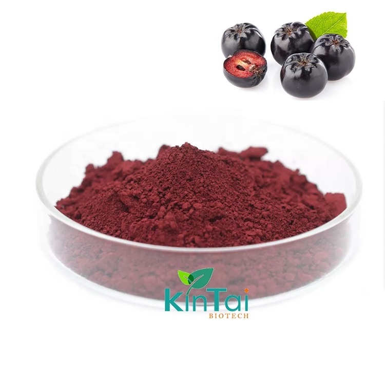 Organic Freeze Dried Aronia Berry Fruit Powder Aronia Powder