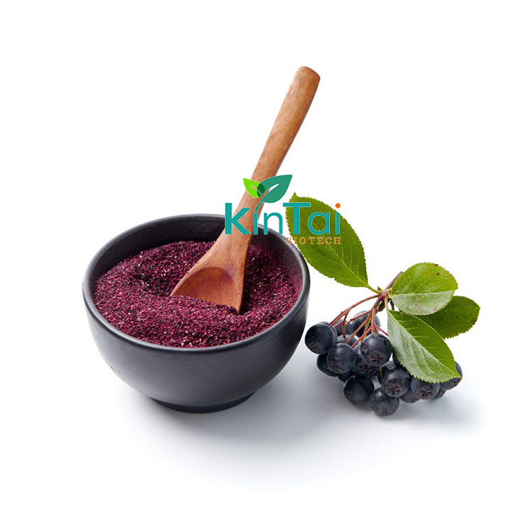 Organic Freeze Dried Aronia Berry Fruit Powder Aronia Powder