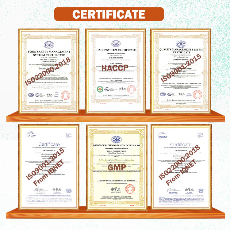 HACCP Certificates Spray Dried Mulberry Powder