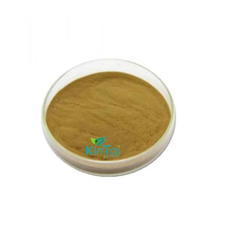 Herbal Extract Powder St johns Wort Extract Hypericin Hypericum Perforatum Extract