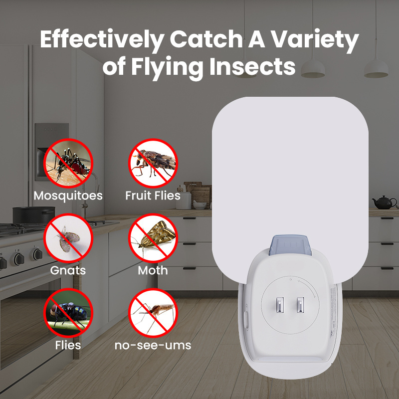 Dayoung Indoor Uv Led Insects Glue Trap Fly Catcher Wall Pest Repellent Moth Killer Plug In Electric Fly Sticky Traps