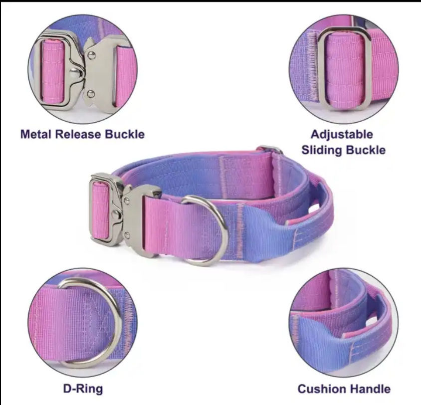 Gradient Colorful Custom Metal Buckle Heavy Duty nylon webbing Pet Tactical Dog collar and Leash with Extra Handle for big dog