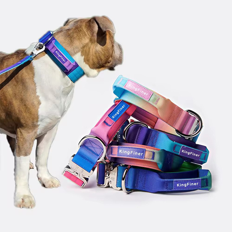 Gradient Colorful Custom Metal Buckle Heavy Duty nylon webbing Pet Tactical Dog collar and Leash with Extra Handle for big dog