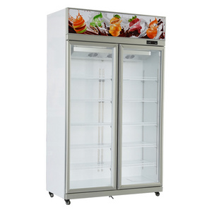 Wholesale supermarket freezer wine large capacity restaurant vertical freezer