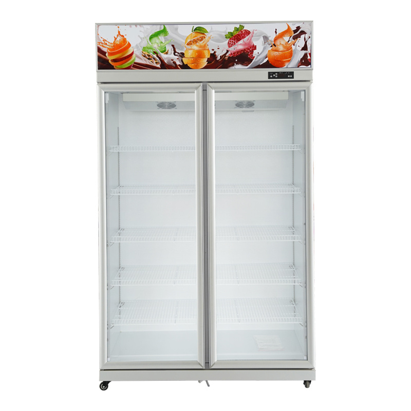 Wholesale supermarket freezer wine large capacity restaurant vertical freezer