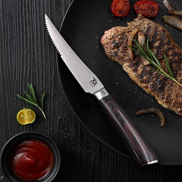 4.5 Inch Stainless Steel Professional Steak Knife Wholesale Custom Sharp Serrated Blade Kitchen Steak Knife