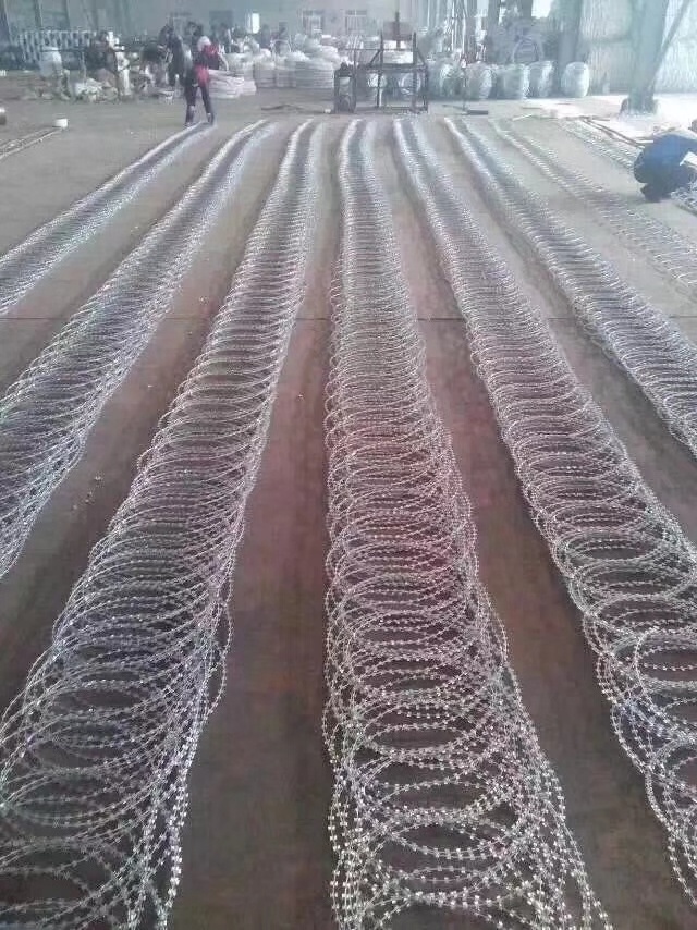 Hot Selling Galvanized Concertina Razor Barbed Wire Fence