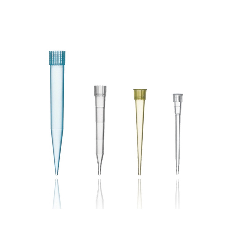 Wholesale medical consumable plastic disposable 200ul 300ul 1000ul pipette tip