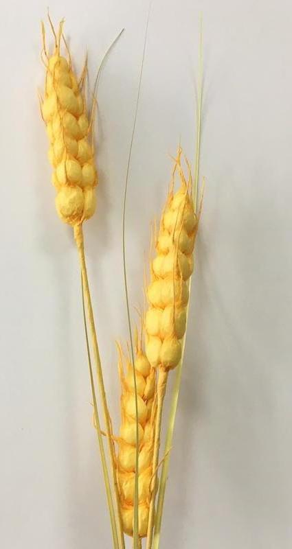 TCF  10104 Factory wholesale 2022 New artificial wheat stalks 100cm 3 branches pampas grass for decoration