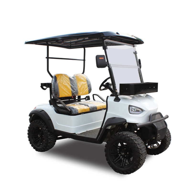 Two Seater Big Tire 48v New Electric Golf Cart China Small Cheap Two Seater Electric Golf Cart