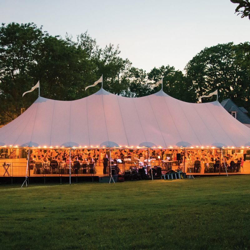 Heavy Duty Party Tent Event Canopy Gazebo Wedding Tent With Carry Bag