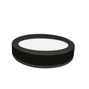 Round Ceiling Light 15W Living Room Home Black Flush Mount Lamp Round Ceiling Pane Light Led