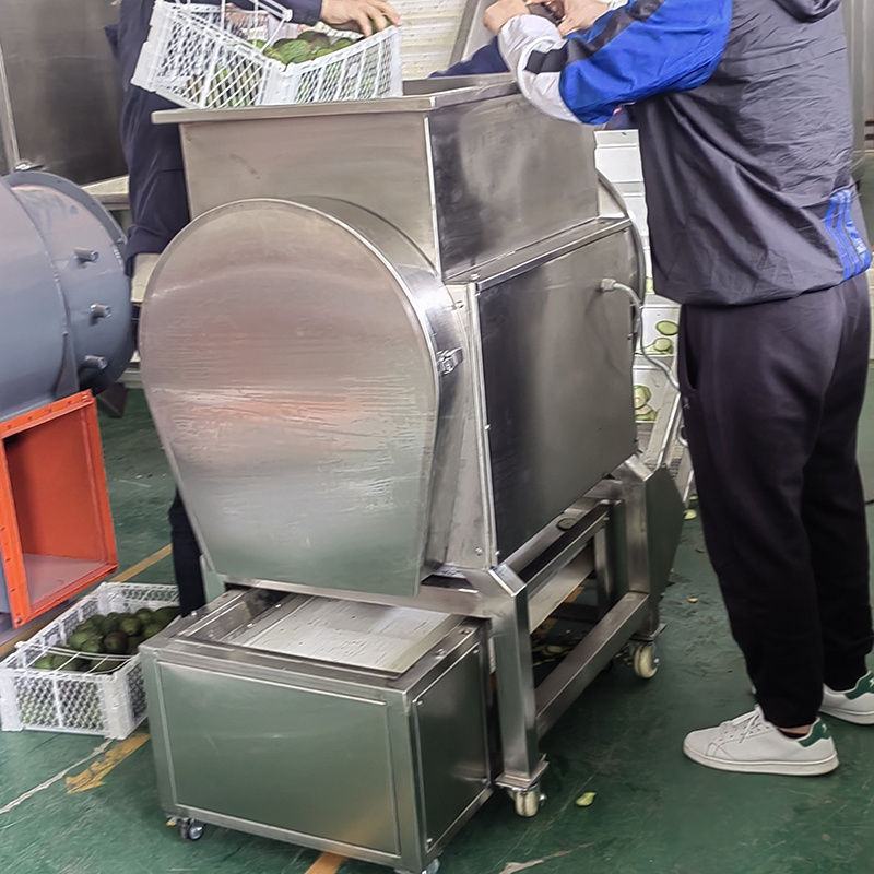 KLS High quality factory supplier fruits continuous slicing machine Avocado, Mango cutting machine