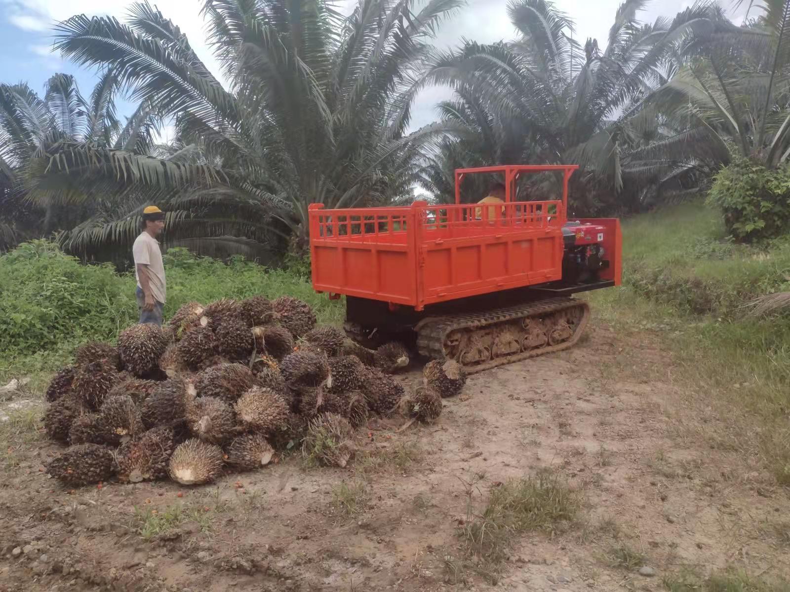 mini track dumper 5 ton small dump truck track vehicle for sale