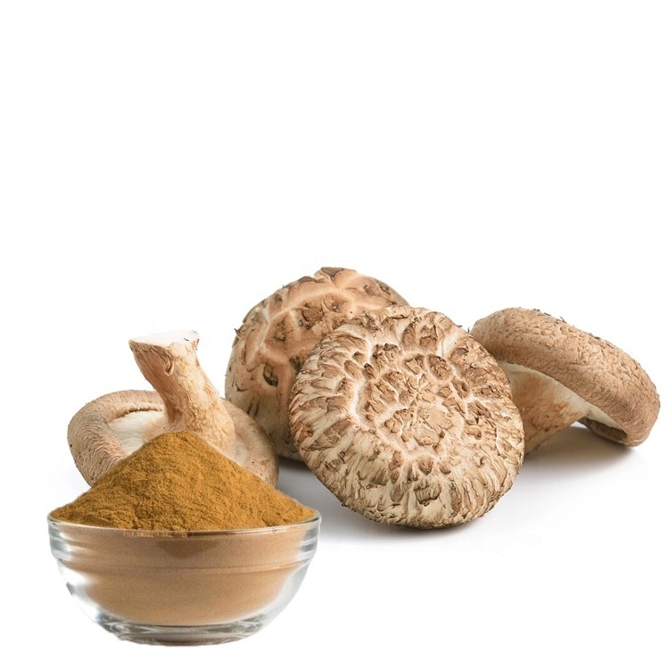 Factory Custom Organic Polysaccharide King Trumpet Mushroom Extract French Horn Mushroom Powder King Oyster Mushroom Extract