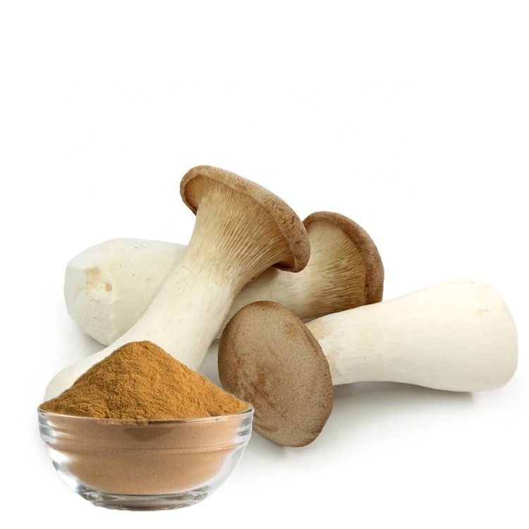 Factory Custom Organic Polysaccharide King Trumpet Mushroom Extract French Horn Mushroom Powder King Oyster Mushroom Extract