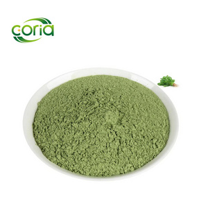 Natural Spinach Extract  Wholesale Bulk Organic Green Food No Additives High Quality Vegetable Spinach Powder