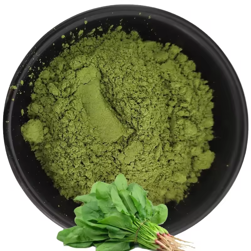 Natural Spinach Extract  Wholesale Bulk Organic Green Food No Additives High Quality Vegetable Spinach Powder