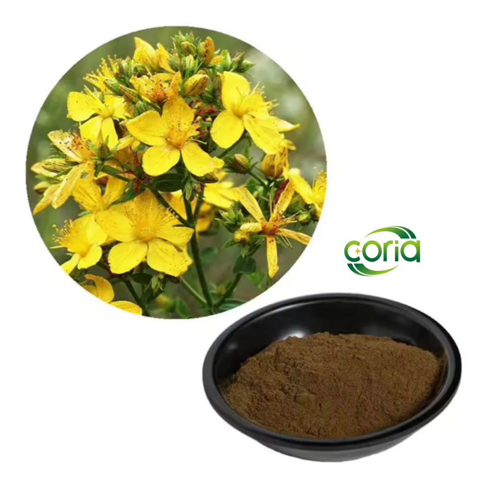 Hot Sale Wholesale Bulk Pure Extract Powder 0.25% 0.3% 0.5% Hypericin Hypericum Perforatum Extract