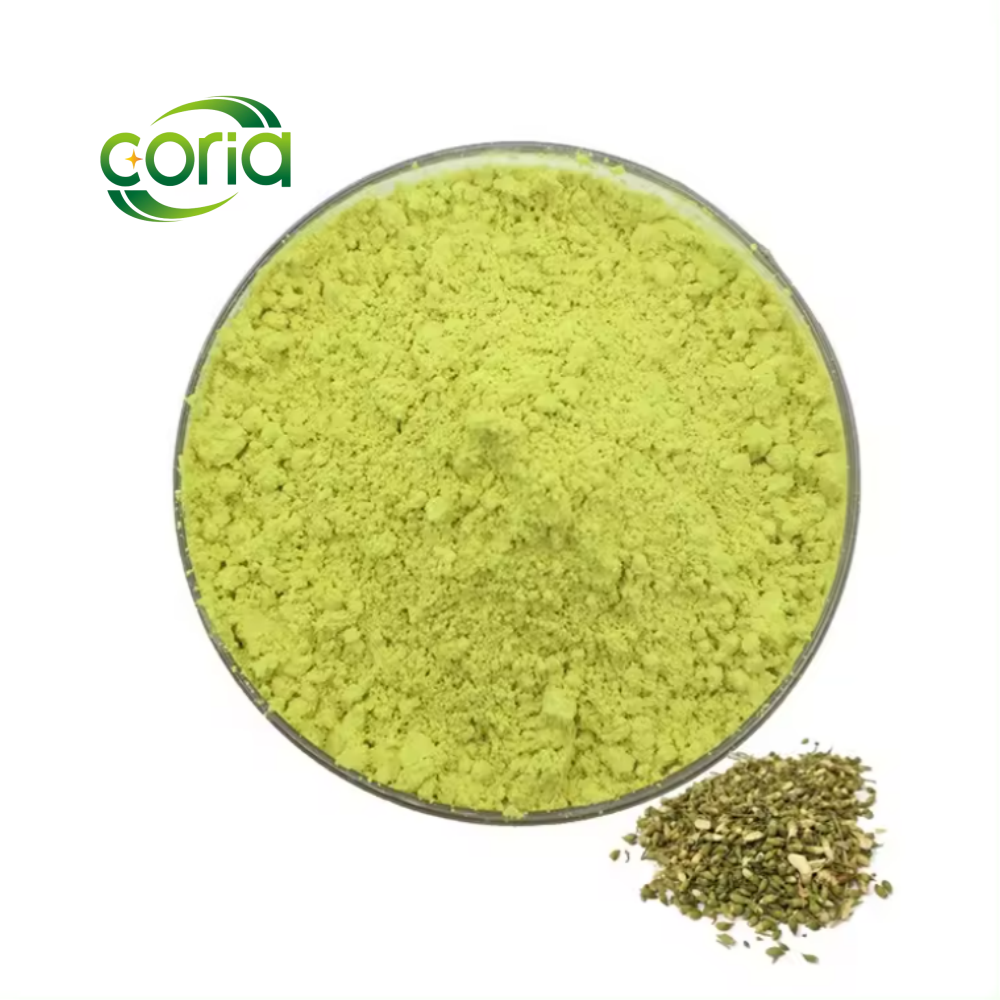 2024 Factory Price High Quality Bulk Organic Sophora Japonica Extract 98% Quercetin Powder