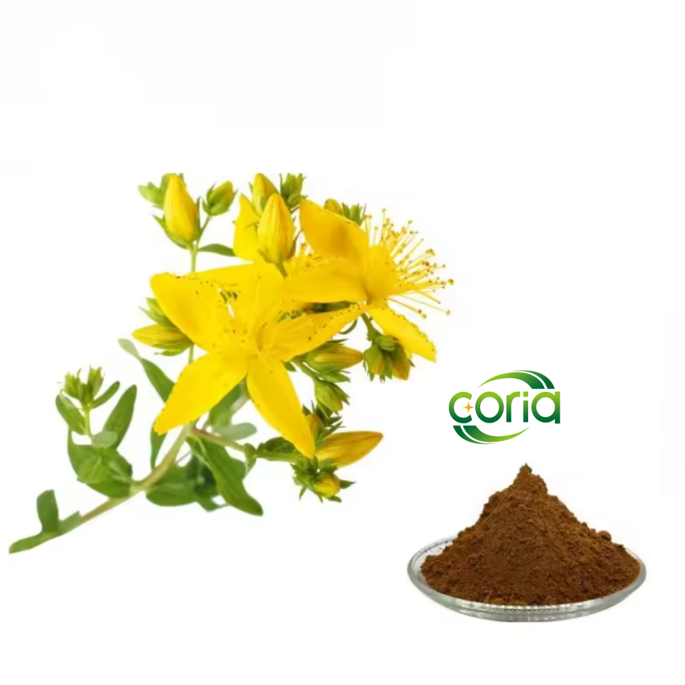 Hot Sale Wholesale Bulk Pure Extract Powder 0.25% 0.3% 0.5% Hypericin Hypericum Perforatum Extract