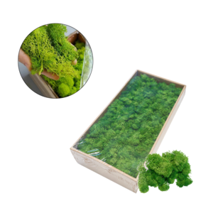 Preserved Moss Panel Natural Immortal Garden Wall Decor Dried Flower Moss Panel for Home