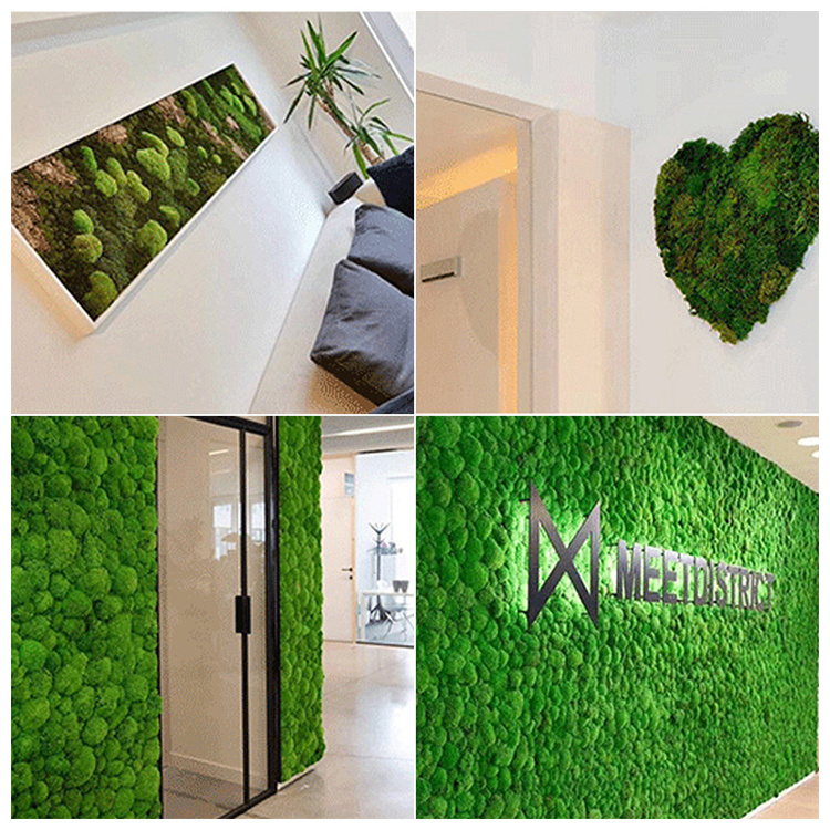 Preserved Moss Panel Natural Immortal Garden Wall Decor Dried Flower Moss Panel for Home