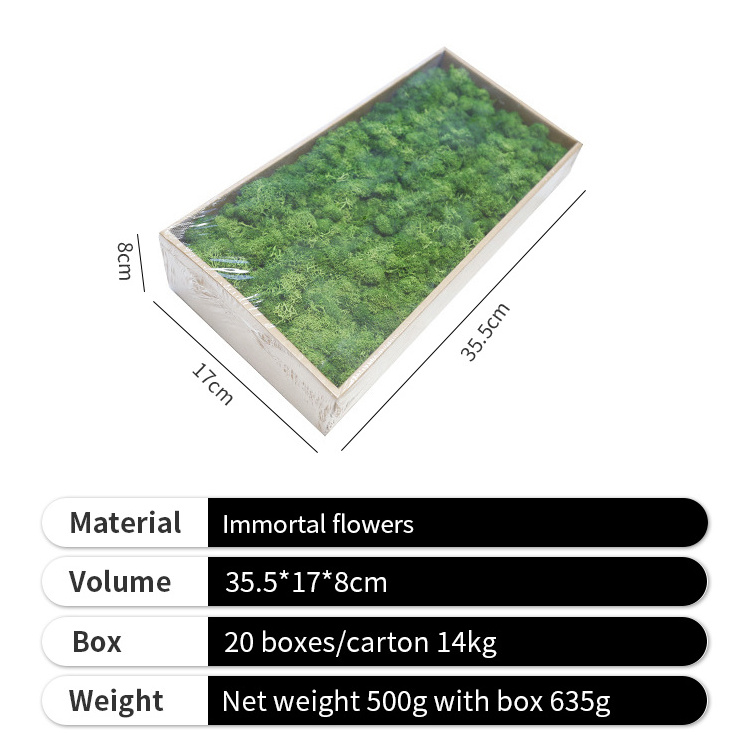 Preserved Moss Panel Natural Immortal Garden Wall Decor Dried Flower Moss Panel for Home