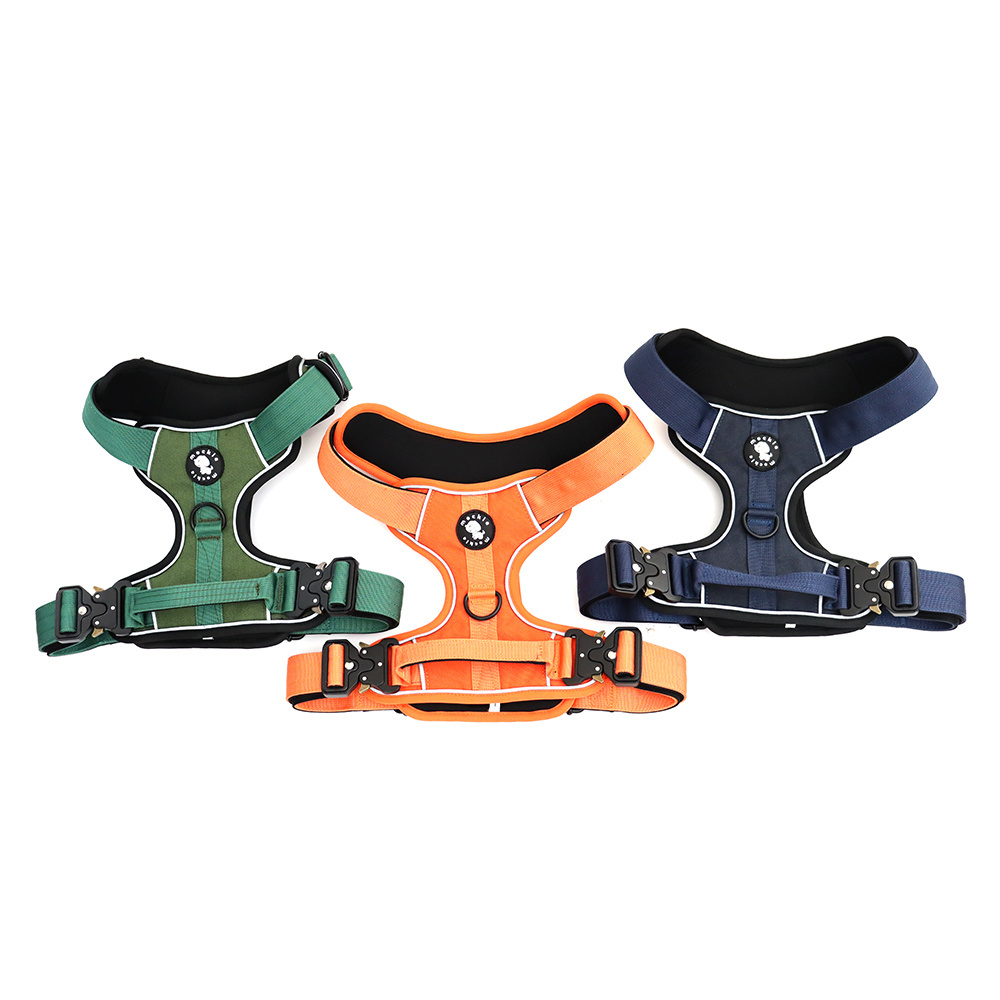 Outdoor Walking Dog Accessories Soft Padded Pet Harness Luxury Dog Leash & Collar Set