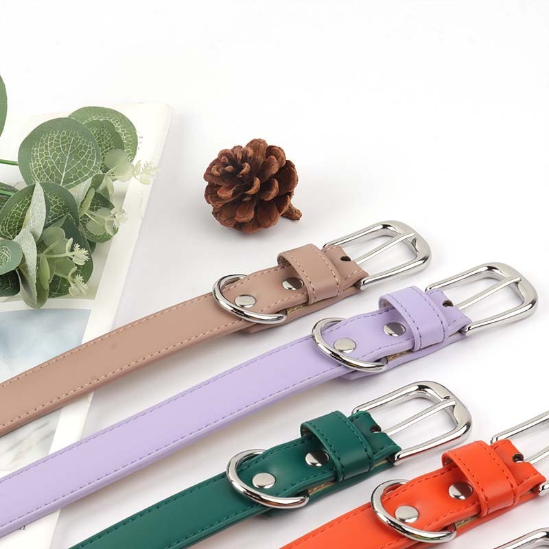 New Arrival Popular Soft Comfortable Colorful Custom TPU leather dog collar charm and leash set with metal adjustable buckle