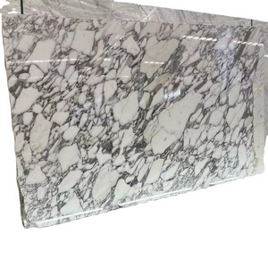 Italian Top Quality Arabescato White Marble For Table Top