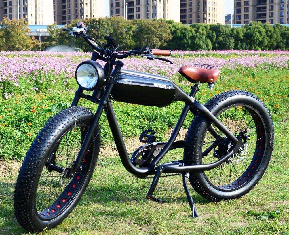 EU Warehouse Retro Dirt E-bike 48V 750w 1000w Motor Long Range 20 inch Fat Tire City Off Road Ebike