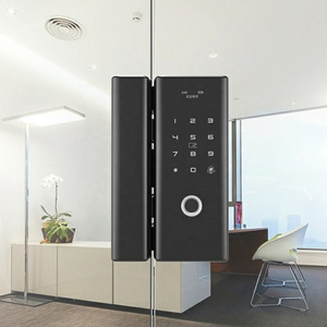 Office glass fingerprint lock single and double door brush card smart password push-pull door lock