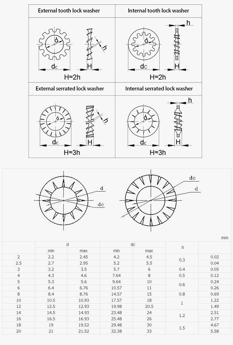 304 Stainless Steel M3 M4 M5 M6 M8 M10 M12-M24 Internal Or External Serrated Teeth Lock Washers