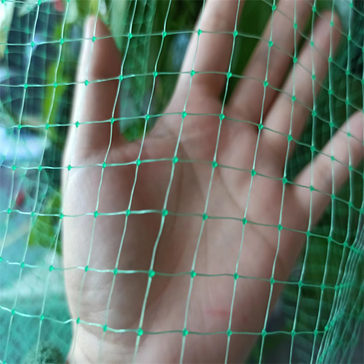 high strength UV stabilizer Pp Plastic Trellis Mesh Plant Climbing Anti Bird Mesh Anti Mole Mesh Netting Bop Bird Net For Garden