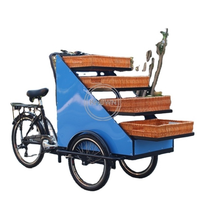 2023 High Capacity Family Cheap 3 Wheel Electric Pickup Truck for Adults Food Cargo Vending Bike Rickshaw