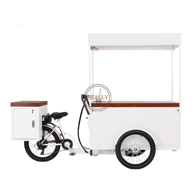 2023 Hot Selling Popsicle Display Tricycle Bicycle Cold Drinks Cargo Bikes for Mobile Ice Cream Business Solution with Water Sink